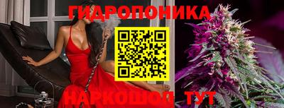 стаф Пушкино