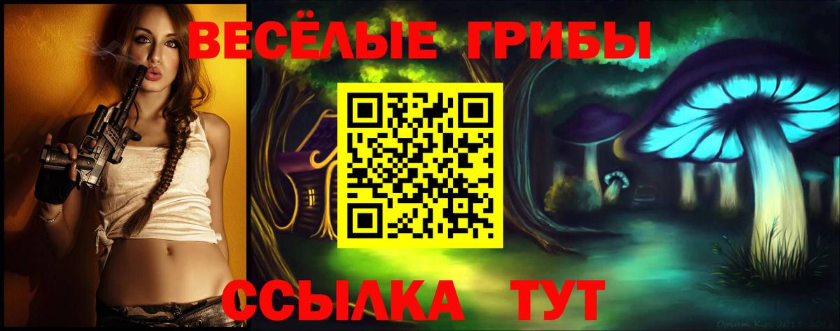 Псилоцибиновые грибы мицелий Рубцовск
