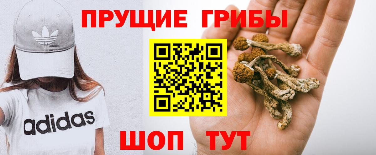 что такое наркотик  Галлюциногенные грибы Psilocybe  Вход с VPN  Галлюциногенные грибы GOLDEN TEACHER  Рубцовск 